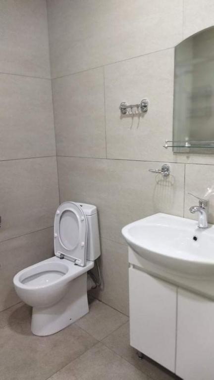 Trialeti Residence N1- Bakuriani room 4